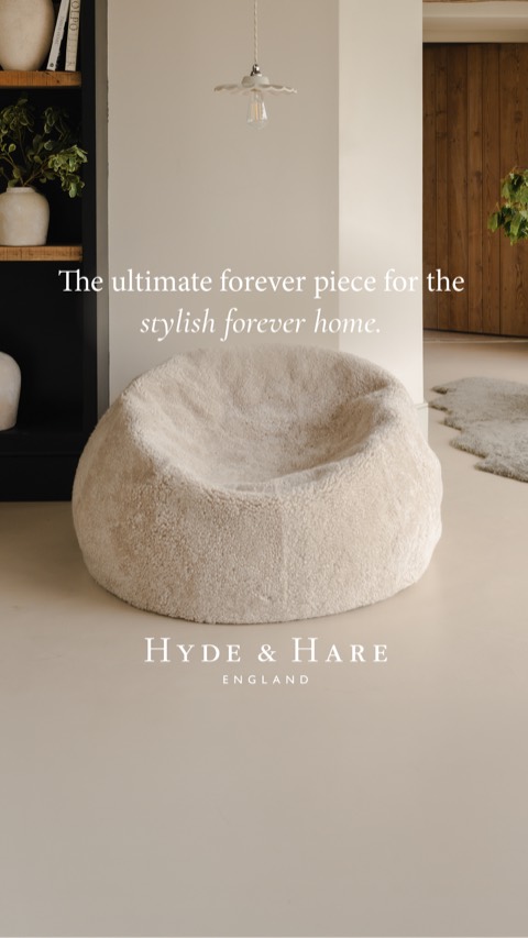 Forever-home curator 3